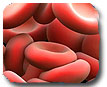 RDW blood test