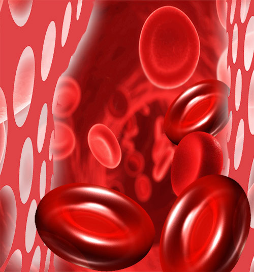 Red Blood Cells