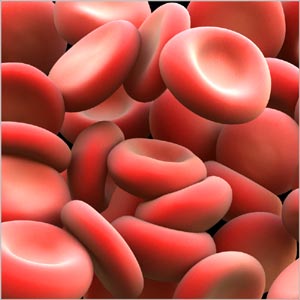 RDW Blood Test - illustration of typical Red Blood Cells