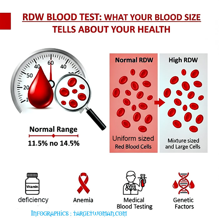 RDW Blood test Infographics